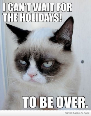 Hate The Holidays!