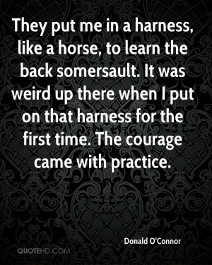 ... Sad Horse Poems , Horse Quotes And Sayings , Sad Quotes , Sad Horse