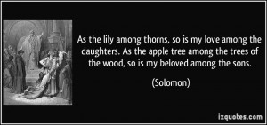 More Solomon Quotes