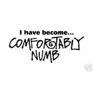 have become...COMFORTABLY NUMB vinyl sticker