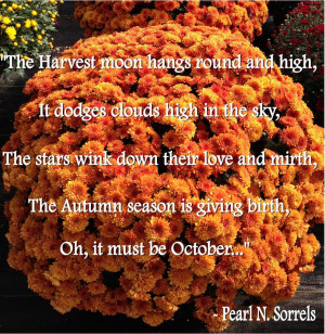Gardening qoutes for October
