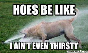 Thirsty Hoes be like May 28 03 03 UTC 2013