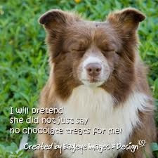 about dog sweet quotes