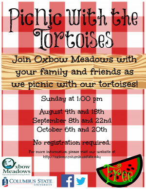 Church Picnic Flyer Templates Free