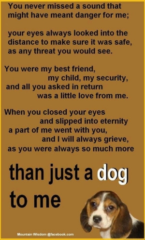 ... more than a dog to me ♥ Love and miss my angels so much. by petijo