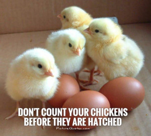 Proverb Quotes Chicken Quotes
