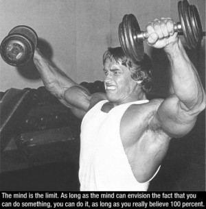 Greatest Arnold Schwarzenegger Quotes (11 Photos)