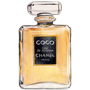 Chanel Coco Eau De Parfum Watercolor Illustration
