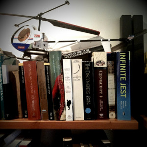 Infinite Jest , originally uploaded by swanksalot .