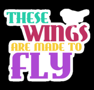 little mix wings quote