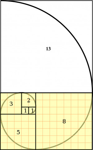 The Fibonacci spiral and number sequence on graph paper by the helpful ...