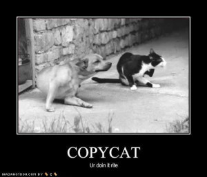 ... senior professionals. Juniors do not copycat. They learn by copying