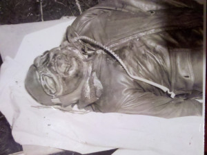 world war 2 pilots dead
