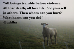 Animal Rights Quotes Gallery For gt Animal Rights
