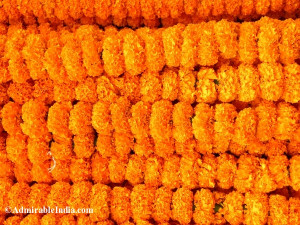 Related Pictures marigold indian garland for wedding arch yelp