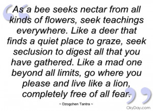 as a bee seeks nectar from all kinds of dzogchen tantra