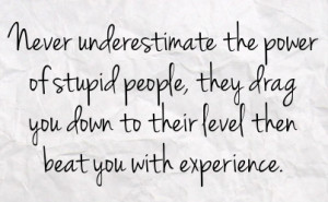... stupid people they drag you down to their level then beat you with