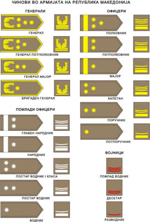 Us Army Rank Insignia Patches