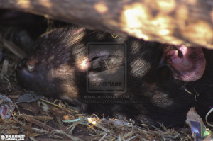 Funny Quotes Contact Dmca