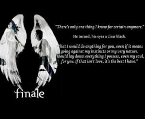 Hush hush saga Again, find me a Patch! Tattoo