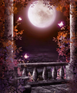 Background Image Photo Studio