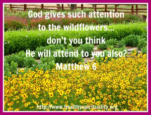 Healthy Spirituality: Texas Wildflowers Lessons