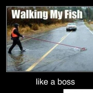 Walking Jokes Quotes. QuotesGram