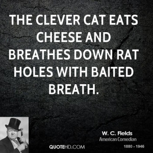 ... clever cat eats cheese and breathes down rat holes with baited breath