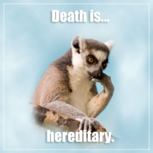 Death is Hereditary – Lamenting Lemur Meme