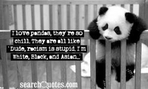 Racism Quote - I Love Pandas, They’re So Chill.