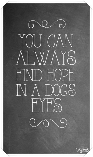 You can always find hope in a dogs eyes.
