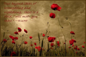 Rumi_field_of_dreams_photo.jpg