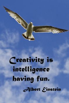 Creativity is intelligence having fun -- Albert Einstein. -- Creative ...