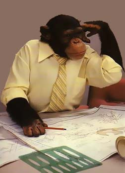 office-monkey.jpg#monkeys%20in%20office%20252x348