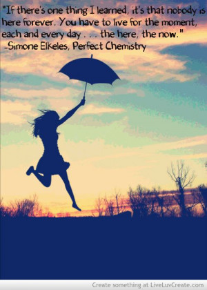 Simone Elkeles, Perfect Chemistry