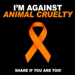 Im against animal cruelty