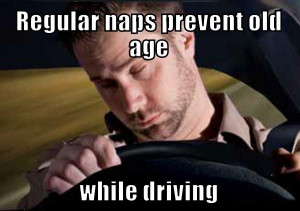 Funny Driving Quote