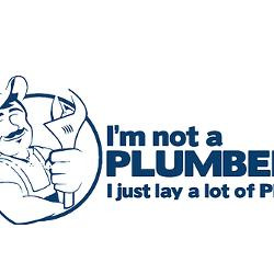 im_not_a_plumber_business_card_case.jpg?color=Silver&height=250&width ...