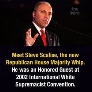 What is true or false about the accusation that Steve scalise wasan ...