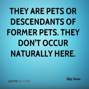 Skip Snow - They are pets or descendants of former pets. They don't ...