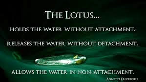 Amazing Collection of Quotes With Pictures