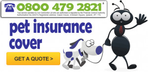 Quotes about family pets wallpapers