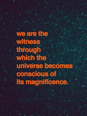 ... through which the universe becomes conscious of its magnificence