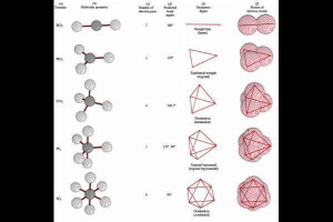 Molecular Geometry