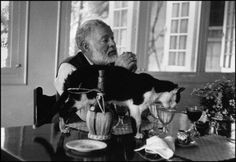 One cat just leads to another.” — Ernest Hemingway More