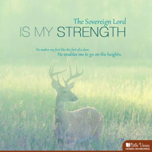 Found on ibibleverses.christianpost.com