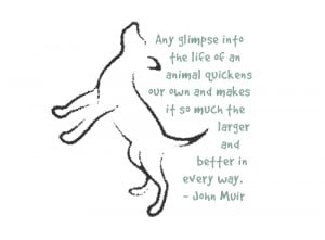 Dog Quotes of the Week (5/19/14 - 5/23/14) | Hey Rover Be Right Over