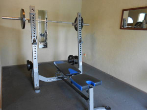 Nautilus olympic bench squat rack bench olympic weight