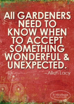 Garden quotes awesome best sayings allen lacy