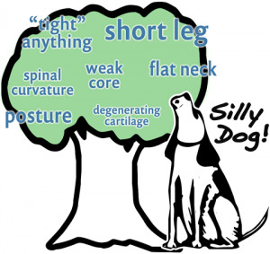 ... barking up the wrong tree it s not that these problems don t exist it